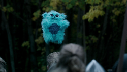 Beebo praises Jesus, science and evolution