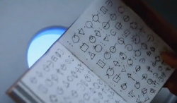 Nora West-Allen's journal (Earth-1)