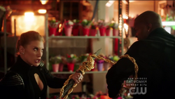 Amunet and Goldface fight.