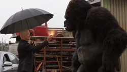 Darhk recluta a Grodd