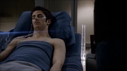 Barry deitado na cama-0