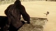 Grodd watch Solovar and the Flash fight (1).png (2,71 MB)