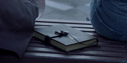 Lucius Fox's journal