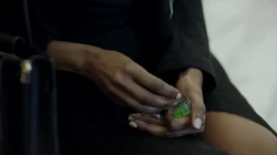 Lynn Stewart usando Luz Verde