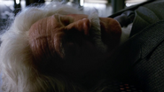 Albert Einstein in Waverider (1)