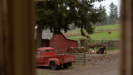 Smallville (Earth-167)