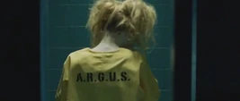 Harley Quinn from behind