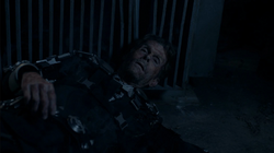 Bruce em seu último suspiro