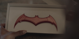 Ryan's batarang