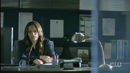 Freeland Police Department (Earth-Prime)