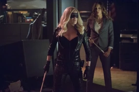 Arrow-Birds-of-Prey