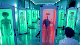 Meta-human pods fail