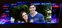 Anna Loring e Ray Palmer