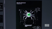 Metallo Protocol