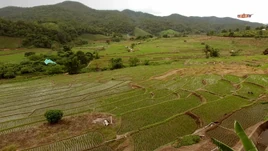 Vietnam (Earth-1)