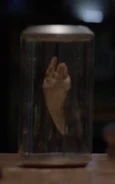 Killer Croc's tooth.