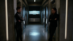 Alex conversando com Brainy
