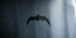 Bruce's batarang
