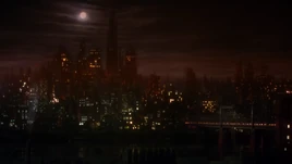 Gotham City (Earth-89)