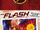 The Flash: The Secret Files of Barry Allen