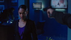 Amanda Waller antes de morrer