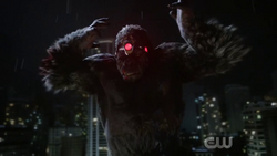 Grodd wearing the telepathic crown