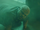 Darryl Robinson thawed.png