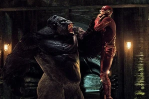 Barry VS Grodd