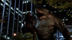 Tubarão-Rei tentando devorar o Flash