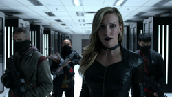 Black Siren and Helix