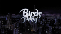 Birds of Prey October 9, 2002 – February 19, 2003