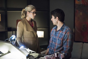 Busy Ray Palmer and angry Felicity Smoak