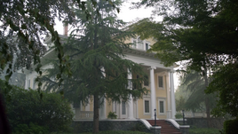 Collins Plantation