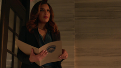 Dinah as the new captain of the SCPD