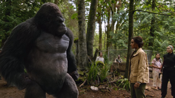 Grodd conversando com Amaya