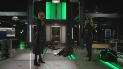 Black Canary and Black Siren prepare to fight again