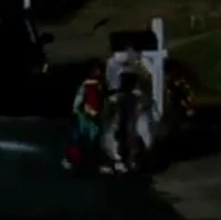 A kid in dressed in a Robin costume.