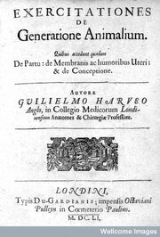 Obra de w.harvey.jpg