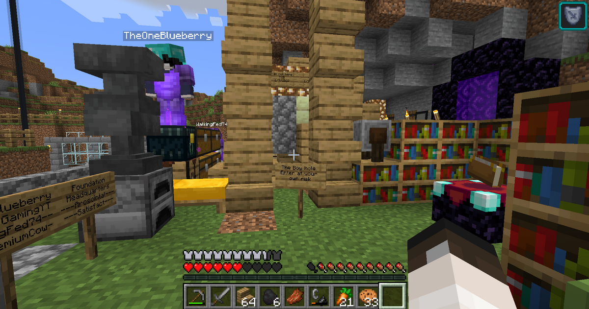 The Boy Hole Arscintal SMP Wiki Fandom