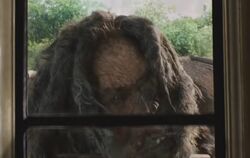Troll Through a Window