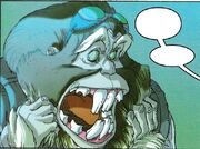 Mulch from the first .