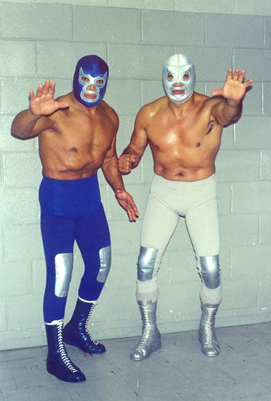 lucha libre mexicana luchadores