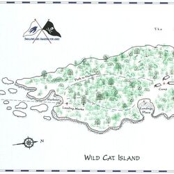 Wild Cat Island
