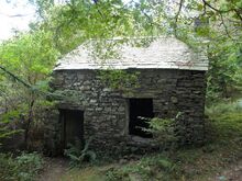 Dog's Home 0.jpg