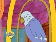 Spanky dead.png (1.21 MB) Spanky unexpectedly dies