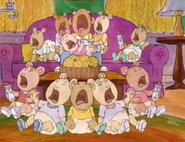 The Baby Orchestra