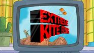 'Extreme Kite Flying'