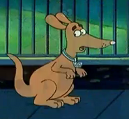 Spooky Poo, a parody of Scooby-Doo. He is a kangaroo instead of a dog.