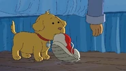 Shoe thief