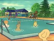 The kids playing in the pool